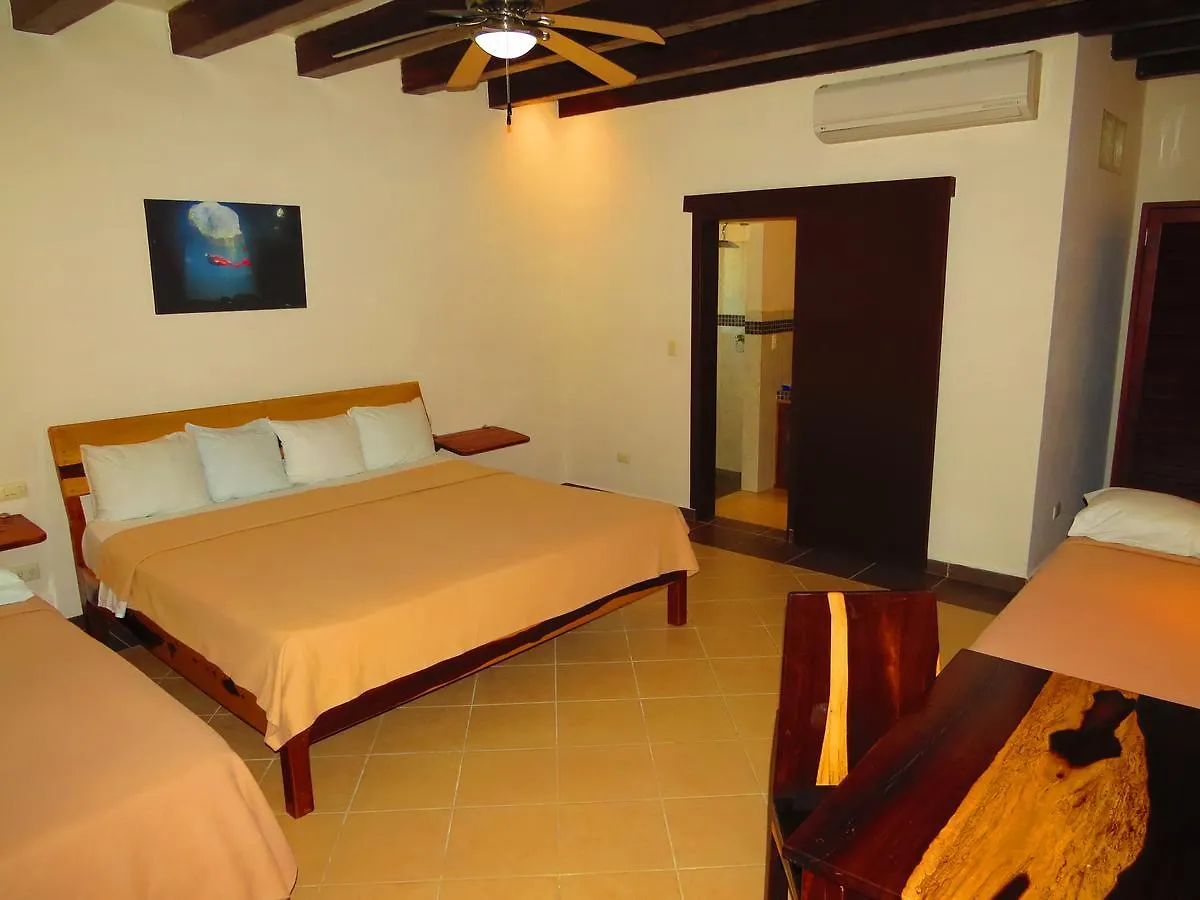 Xibalba Hotel Dive Center تولوم